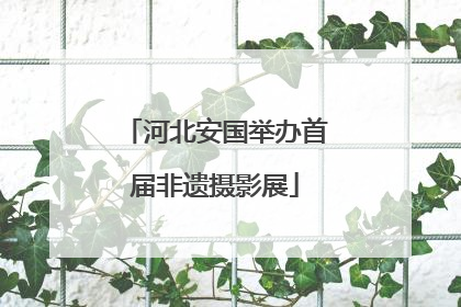 河北安国举办首届非遗摄影展