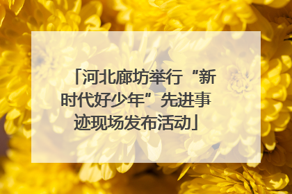 河北廊坊举行“新时代好少年”先进事迹现场发布活动