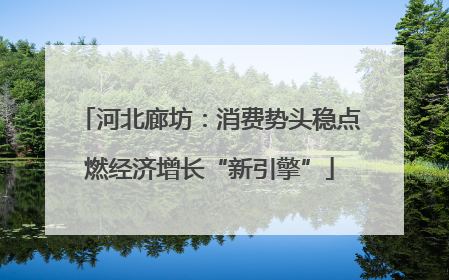 河北廊坊：消费势头稳点燃经济增长“新引擎”