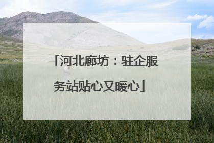 河北廊坊：驻企服务站贴心又暖心