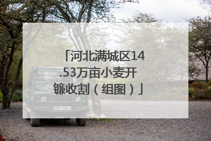 河北满城区14.53万亩小麦开镰收割（组图）