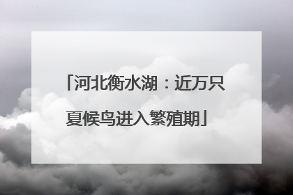 河北衡水湖：近万只夏候鸟进入繁殖期