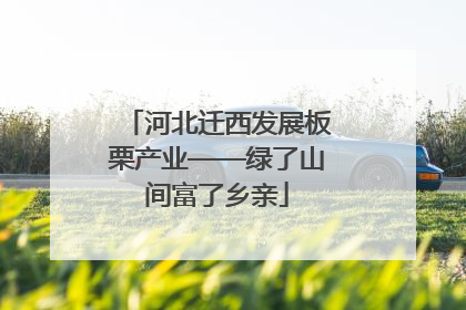 河北迁西发展板栗产业——绿了山间富了乡亲