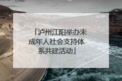 泸州江阳举办未成年人社会支持体系共建活动