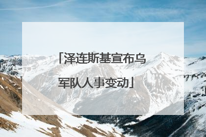 泽连斯基宣布乌军队人事变动