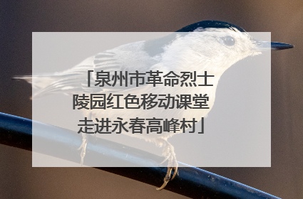 泉州市革命烈士陵园红色移动课堂走进永春高峰村