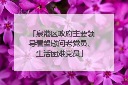 泉港区政府主要领导看望慰问老党员、生活困难党员