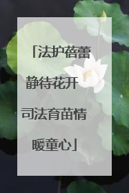 法护蓓蕾静待花开 司法育苗情暖童心
