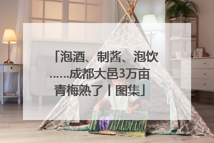 泡酒、制酱、泡饮……成都大邑3万亩青梅熟了丨图集