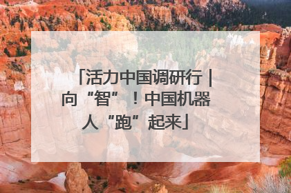 活力中国调研行｜向“智”！中国机器人“跑”起来