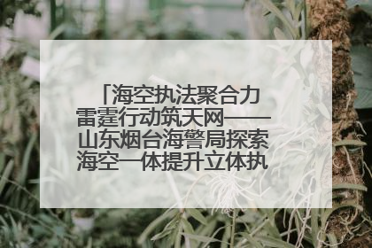 海空执法聚合力 雷霆行动筑天网——山东烟台海警局探索海空一体提升立体执法效能纪实