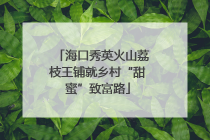 海口秀英火山荔枝王铺就乡村“甜蜜”致富路