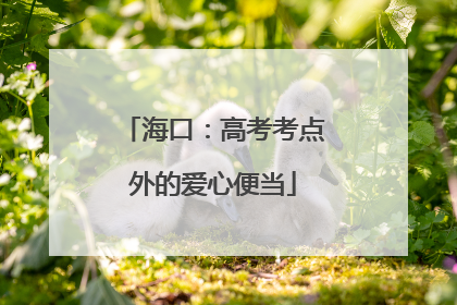 海口：高考考点外的爱心便当