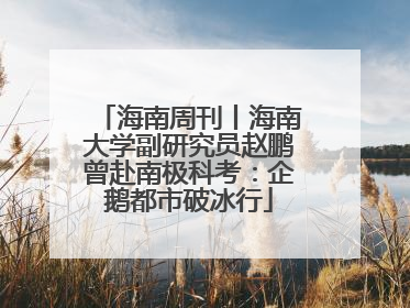 海南周刊丨海南大学副研究员赵鹏曾赴南极科考：企鹅都市破冰行