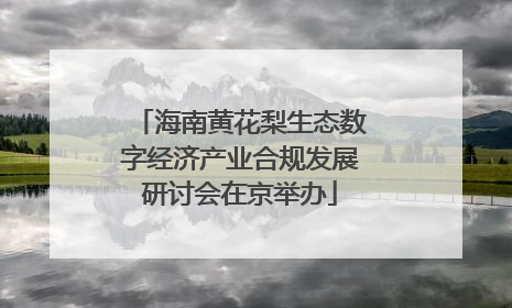 海南黄花梨生态数字经济产业合规发展研讨会在京举办