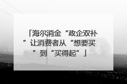 海尔消金“政企双补”让消费者从“想要买”到“买得起”