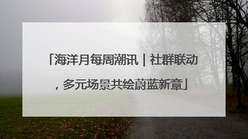 海洋月每周潮讯｜社群联动，多元场景共绘蔚蓝新章