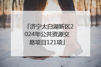济宁太白湖新区2024年公共资源交易项目121项