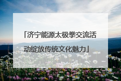 济宁能源太极拳交流活动绽放传统文化魅力
