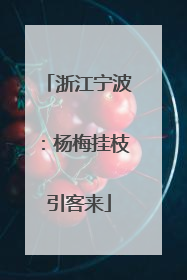 浙江宁波：杨梅挂枝引客来