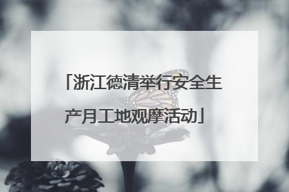 浙江德清举行安全生产月工地观摩活动