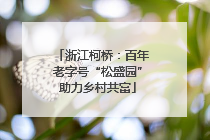 浙江柯桥：百年老字号“松盛园”助力乡村共富