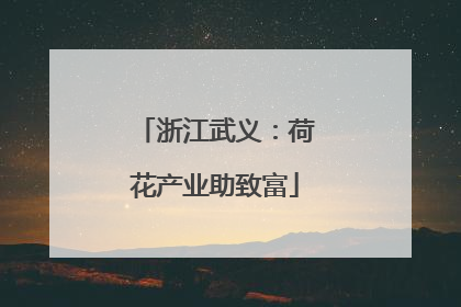 浙江武义：荷花产业助致富
