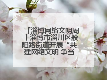 淄博网络文明周丨淄博市淄川区般阳路街道开展“共建网络文明 争当般阳好网民”主题宣讲活动