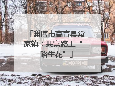 淄博市高青县常家镇：共富路上“一路生花”