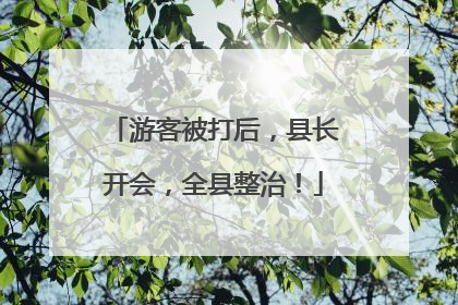 游客被打后，县长开会，全县整治！