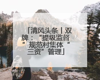 清风头条丨双牌：“提级监督”规范村集体“三资”管理