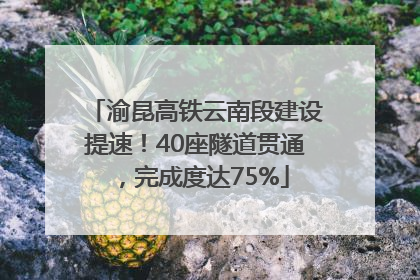 渝昆高铁云南段建设提速！40座隧道贯通，完成度达75%
