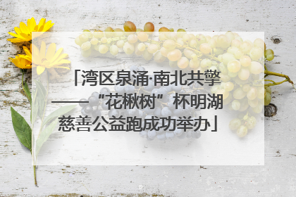 湾区泉涌·南北共擎——“花楸树”杯明湖慈善公益跑成功举办