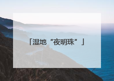 湿地“夜明珠”