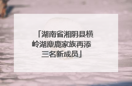 湖南省湘阴县横岭湖麋鹿家族再添三名新成员