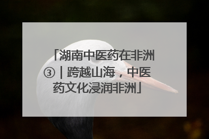 湖南中医药在非洲③｜跨越山海，中医药文化浸润非洲