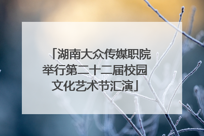 湖南大众传媒职院举行第二十二届校园文化艺术节汇演