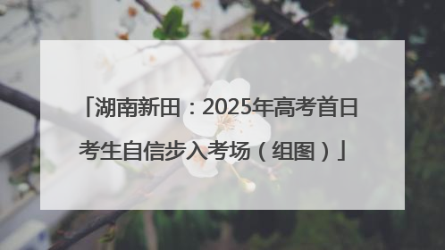 湖南新田：2025年高考首日 考生自信步入考场（组图）