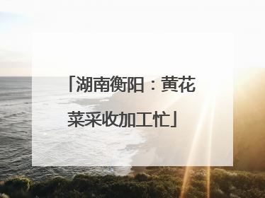 湖南衡阳：黄花菜采收加工忙