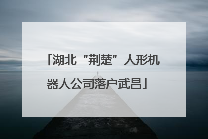 湖北“荆楚”人形机器人公司落户武昌