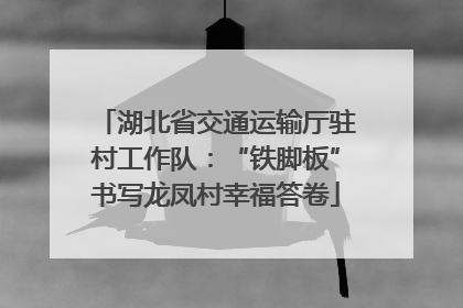 湖北省交通运输厅驻村工作队：“铁脚板”书写龙凤村幸福答卷