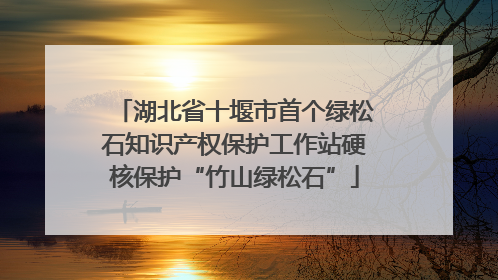 湖北省十堰市首个绿松石知识产权保护工作站硬核保护“竹山绿松石”