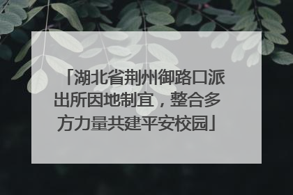 湖北省荆州御路口派出所因地制宜，整合多方力量共建平安校园