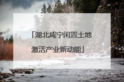 湖北咸宁闲置土地激活产业新动能