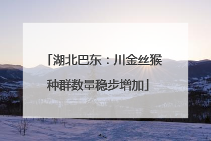 湖北巴东：川金丝猴种群数量稳步增加