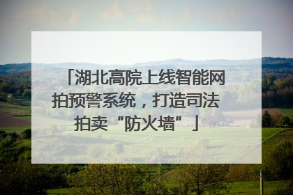 湖北高院上线智能网拍预警系统，打造司法拍卖“防火墙”