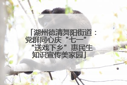 湖州德清舞阳街道：党群同心庆“七一” “送戏下乡”惠民生 知识宣传美家园