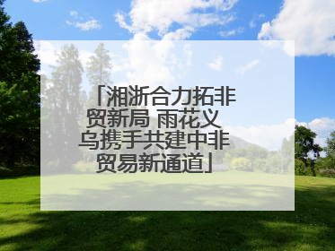 湘浙合力拓非贸新局 雨花义乌携手共建中非贸易新通道