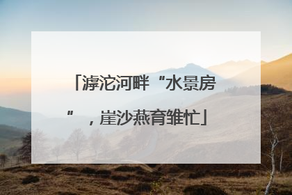 滹沱河畔“水景房”，崖沙燕育雏忙