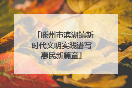 滕州市滨湖镇新时代文明实践谱写惠民新篇章
